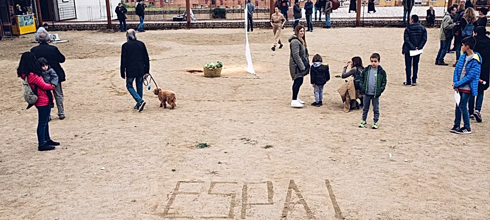 55b29b_0d88cd273d3a4fcbb41d6e34238e881b~mv2