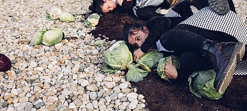 55b29b_551d740804e54248a1151f4466e5e653~mv2